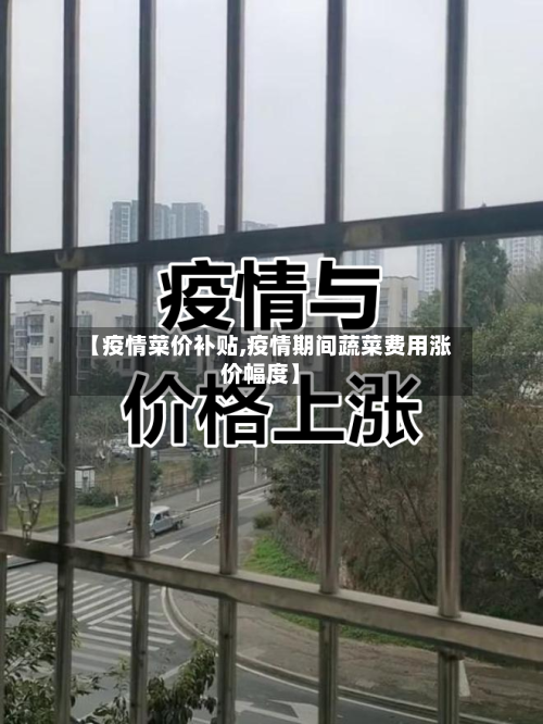 【疫情菜价补贴,疫情期间蔬菜费用涨价幅度】