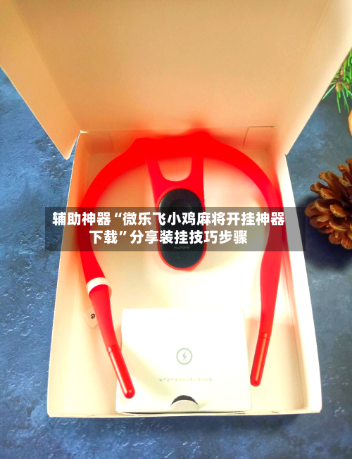 辅助神器“微乐飞小鸡麻将开挂神器下载”分享装挂技巧步骤-第2张图片