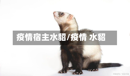 疫情宿主水貂/疫情 水貂