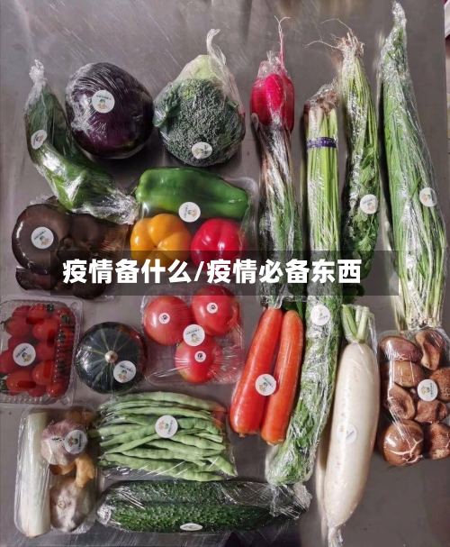 疫情备什么/疫情必备东西