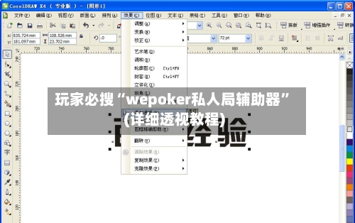 玩家必搜“wepoker私人局辅助器”(详细透视教程)-第2张图片
