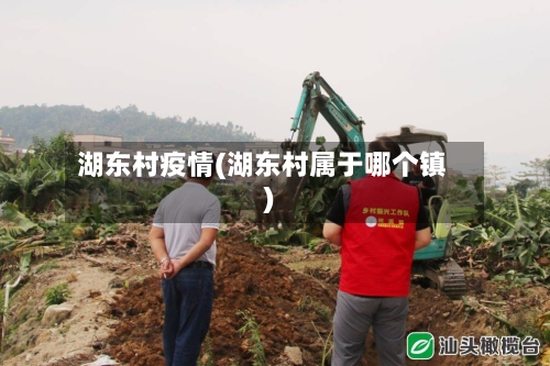 湖东村疫情(湖东村属于哪个镇)