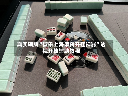 真实辅助“微乐上海麻将开挂神器”透视开挂辅助教程-第1张图片