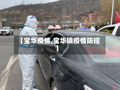 【宝华疫情,宝华镇疫情防控】-第2张图片