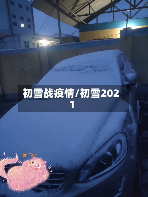 初雪战疫情/初雪2021