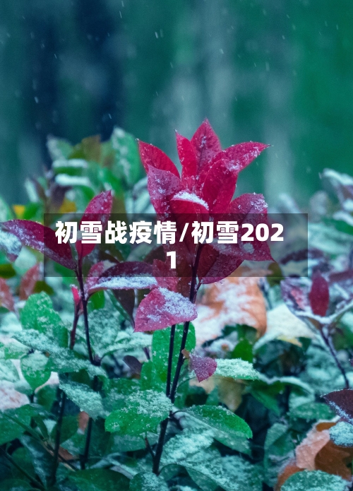 初雪战疫情/初雪2021-第2张图片