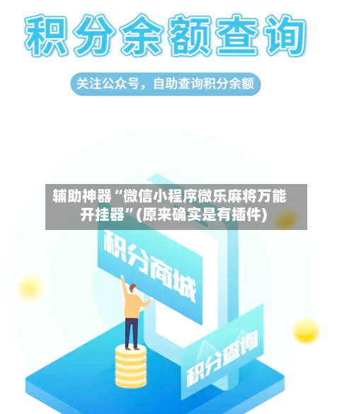 辅助神器“微信小程序微乐麻将万能开挂器”(原来确实是有插件)-第2张图片