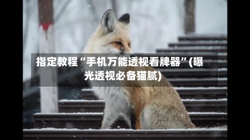 指定教程“手机万能透视看牌器”(曝光透视必备猫腻)-第1张图片