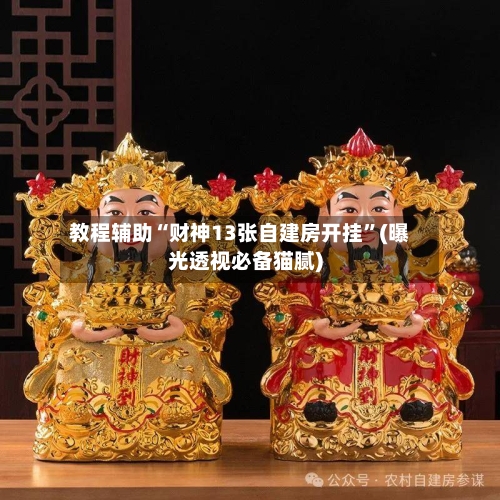 教程辅助“财神13张自建房开挂	”(曝光透视必备猫腻)-第2张图片