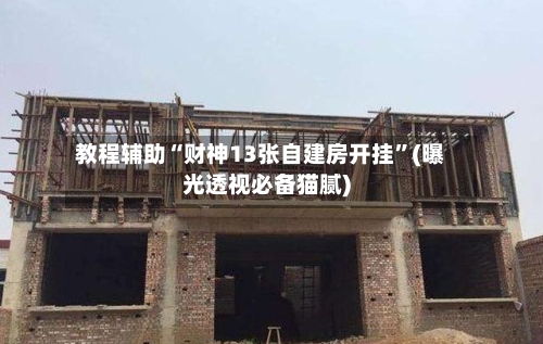 教程辅助“财神13张自建房开挂”(曝光透视必备猫腻)-第3张图片