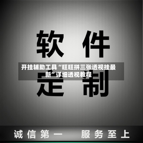 开挂辅助工具“旺旺拼三张透视挂最新	”详细透视教程-第2张图片