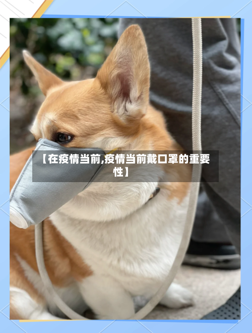 【在疫情当前,疫情当前戴口罩的重要性】