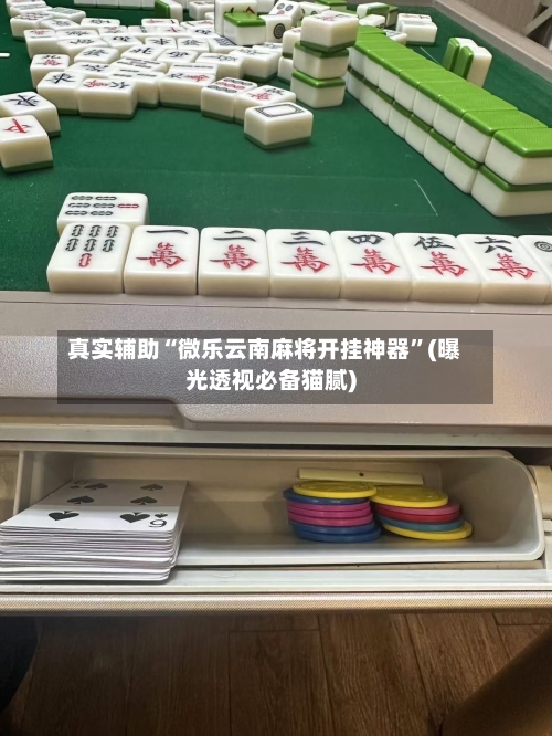 真实辅助“微乐云南麻将开挂神器”(曝光透视必备猫腻)-第1张图片