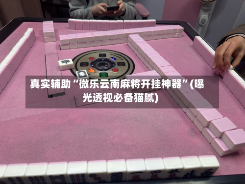 真实辅助“微乐云南麻将开挂神器”(曝光透视必备猫腻)-第3张图片