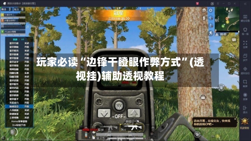 玩家必读“边锋干瞪眼作弊方式”(透视挂)辅助透视教程-第3张图片