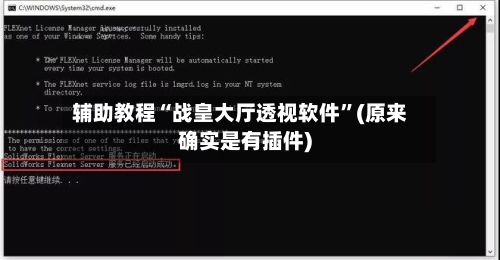 辅助教程“战皇大厅透视软件”(原来确实是有插件)-第3张图片