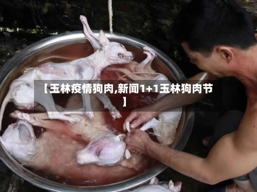【玉林疫情狗肉,新闻1+1玉林狗肉节】-第2张图片