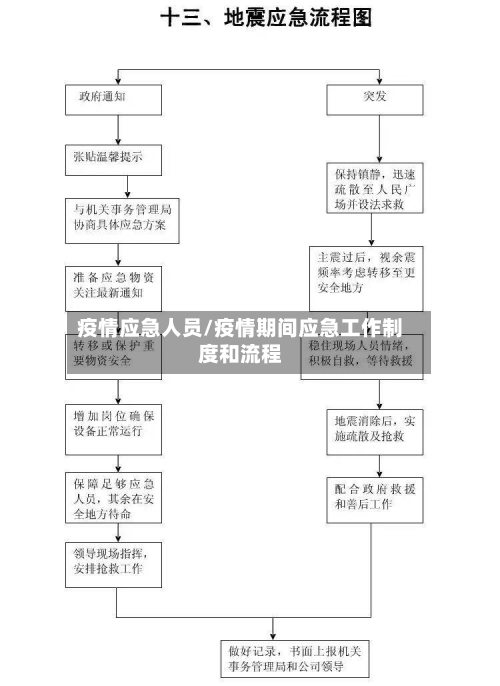 疫情应急人员/疫情期间应急工作制度和流程