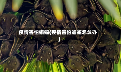 疫情害怕蝙蝠(疫情害怕蝙蝠怎么办)-第2张图片