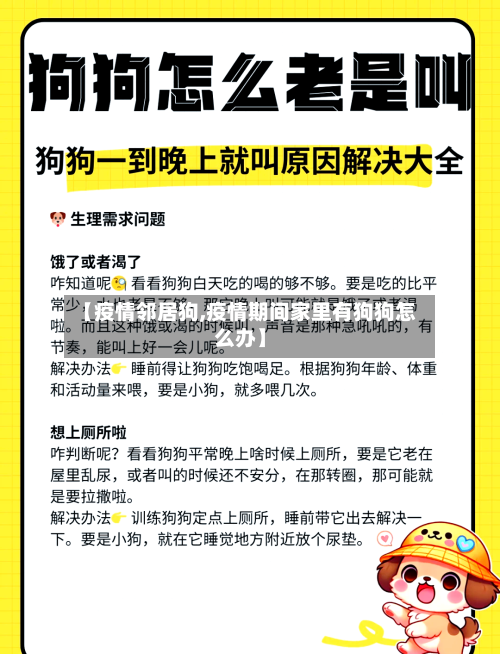 【疫情邻居狗,疫情期间家里有狗狗怎么办】