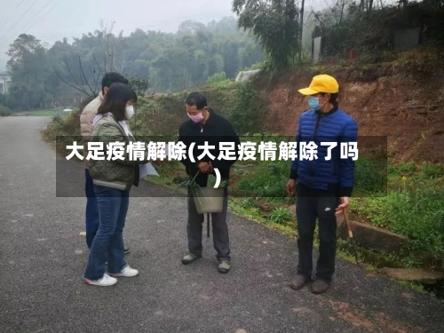 大足疫情解除(大足疫情解除了吗)
