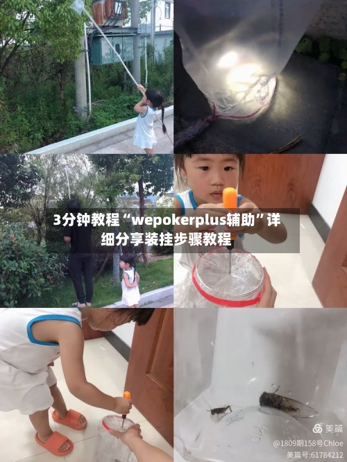 3分钟教程“wepokerplus辅助	”详细分享装挂步骤教程-第2张图片