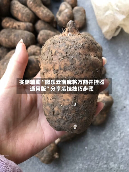 实测辅助“微乐云南麻将万能开挂器通用版”分享装挂技巧步骤-第2张图片