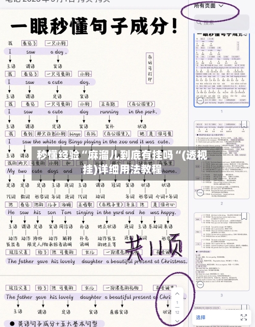 秒懂经验“麻溜儿到底有挂吗“(透视挂)详细用法教程-第2张图片