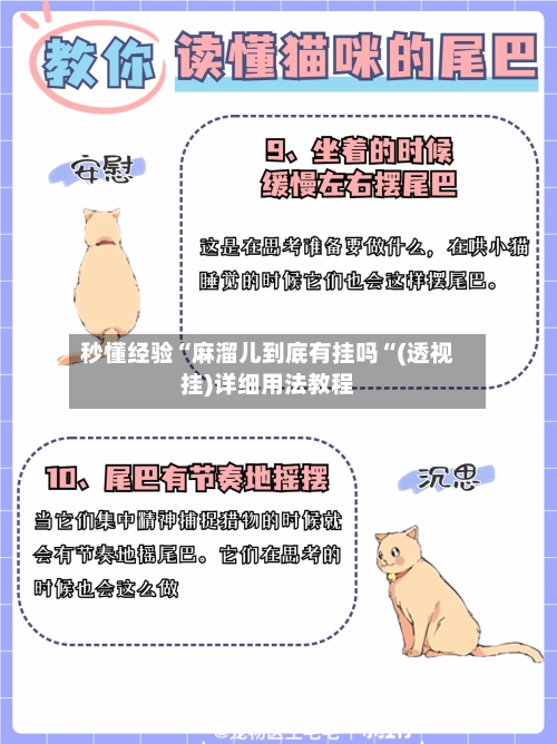 秒懂经验“麻溜儿到底有挂吗“(透视挂)详细用法教程-第3张图片