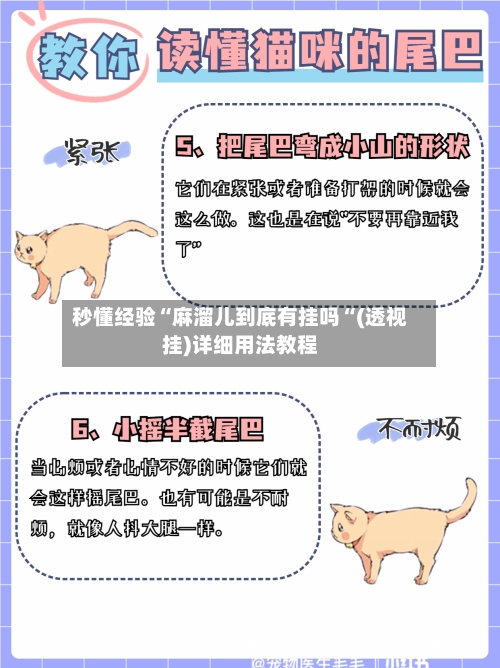 秒懂经验“麻溜儿到底有挂吗“(透视挂)详细用法教程