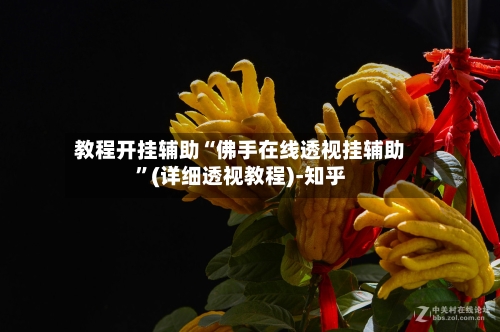 教程开挂辅助“佛手在线透视挂辅助”(详细透视教程)-知乎-第3张图片