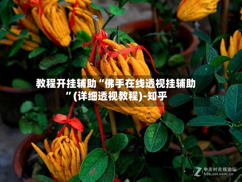 教程开挂辅助“佛手在线透视挂辅助	”(详细透视教程)-知乎-第2张图片