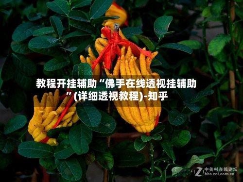 教程开挂辅助“佛手在线透视挂辅助”(详细透视教程)-知乎