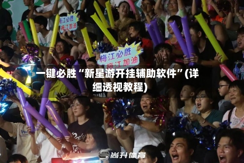 一键必胜“新星游开挂辅助软件”(详细透视教程)-第2张图片