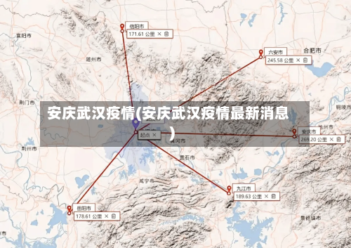 安庆武汉疫情(安庆武汉疫情最新消息)-第2张图片
