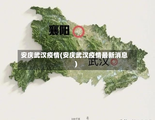 安庆武汉疫情(安庆武汉疫情最新消息)