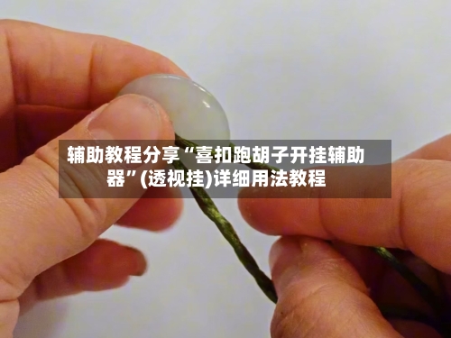 辅助教程分享“喜扣跑胡子开挂辅助器”(透视挂)详细用法教程