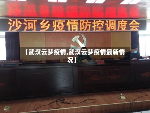 【武汉云梦疫情,武汉云梦疫情最新情况】-第3张图片