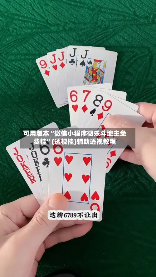 可用版本“微信小程序微乐斗地主免费挂”(透视挂)辅助透视教程-第3张图片