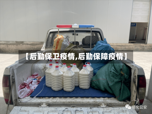 【后勤保卫疫情,后勤保障疫情】