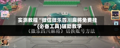 实测教程“微信微乐四川麻将免费挂”(必备工具)辅助教学-第2张图片