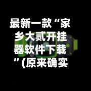 最新一款“家乡大贰开挂器软件下载”(原来确实是有插件)-第2张图片