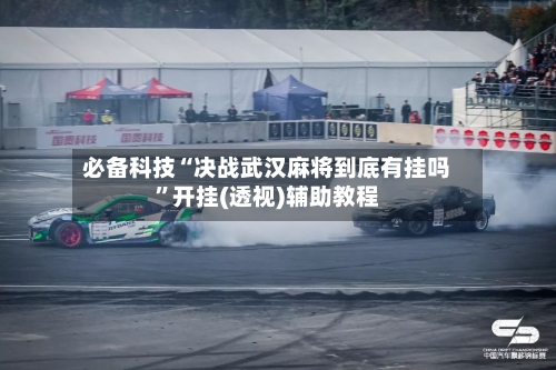 必备科技“决战武汉麻将到底有挂吗”开挂(透视)辅助教程-第3张图片