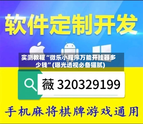 实测教程“微乐小程序万能开挂器多少钱	”(曝光透视必备猫腻)-第1张图片