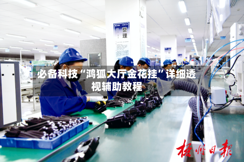 必备科技“鸿狐大厅金花挂”详细透视辅助教程