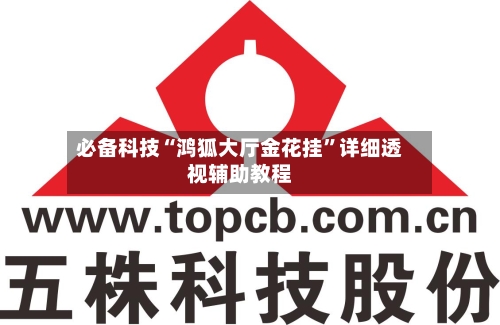 必备科技“鸿狐大厅金花挂	”详细透视辅助教程-第2张图片