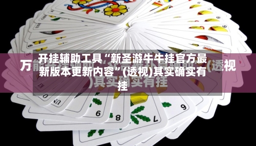 开挂辅助工具“新圣游牛牛挂官方最新版本更新内容”(透视)其实确实有挂-第2张图片