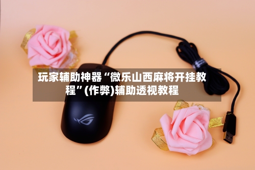 玩家辅助神器“微乐山西麻将开挂教程”(作弊)辅助透视教程