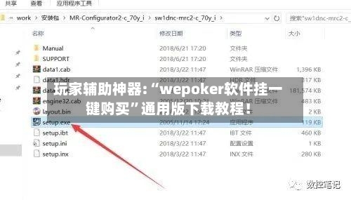 玩家辅助神器:“wepoker软件挂一键购买”通用版下载教程！