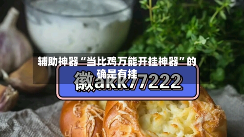 辅助神器“当比鸡万能开挂神器”的确是有挂-第2张图片